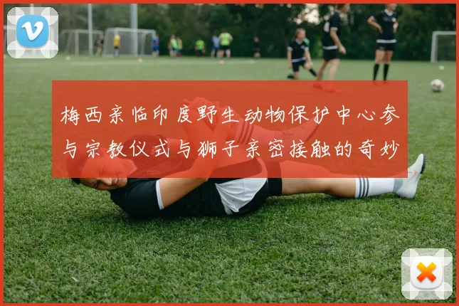 梅西亲临印度野生动物保护中心参与宗教仪式与狮子亲密接触的奇妙体验
