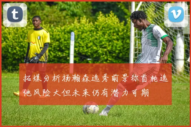拓媒分析杨瀚森选秀前景称首轮选他风险大但未来仍有潜力可期