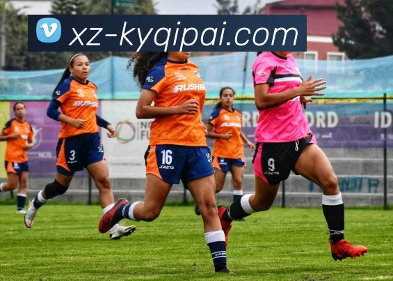 App Interface Preview