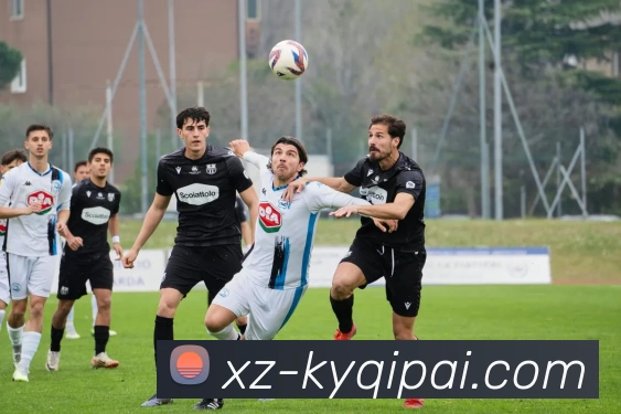 开云体育APP 封面图